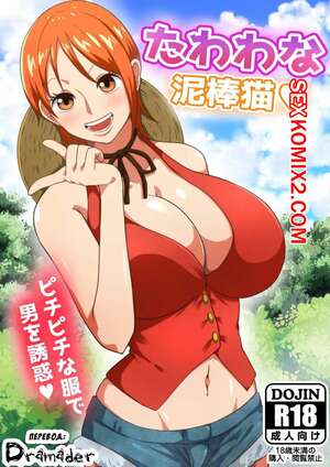 Порно комикс One Piece. Грудастая воришка. Tawawa na Dorobouneko. A Busty Thief
