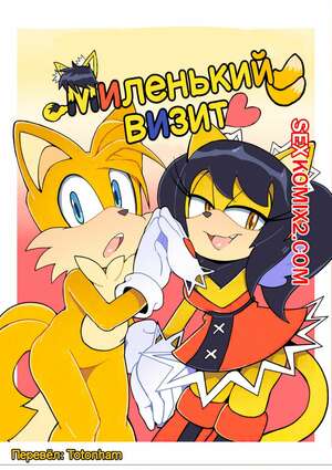 Порно комикс Sonic The Hedgehog. Миленький визит. Senshion