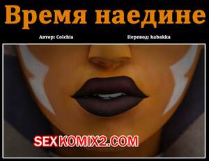 Порно комикс Star Wars. Время наедине. Colchia